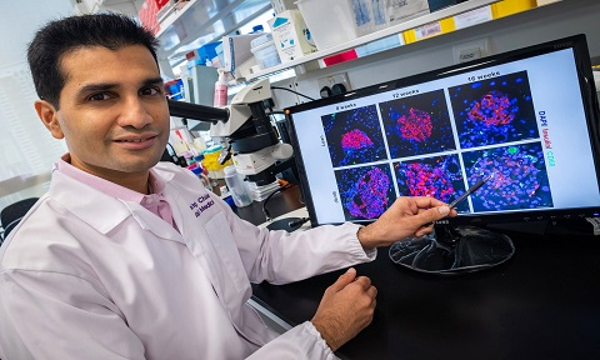 深度解析南洋理工 vs 悉尼大学留学成本谁更划算